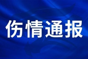 免费世界杯哥伦比亚vs葡萄牙比赛回放_免费世界杯哥伦比亚vs葡萄牙比赛回放在线观看_免费看直播