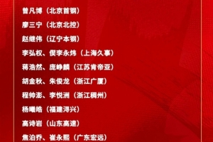 极速荷兰vs瑞典十佳球在线观看_极速荷兰vs瑞典十佳球在线观看在线观看_免费看直播